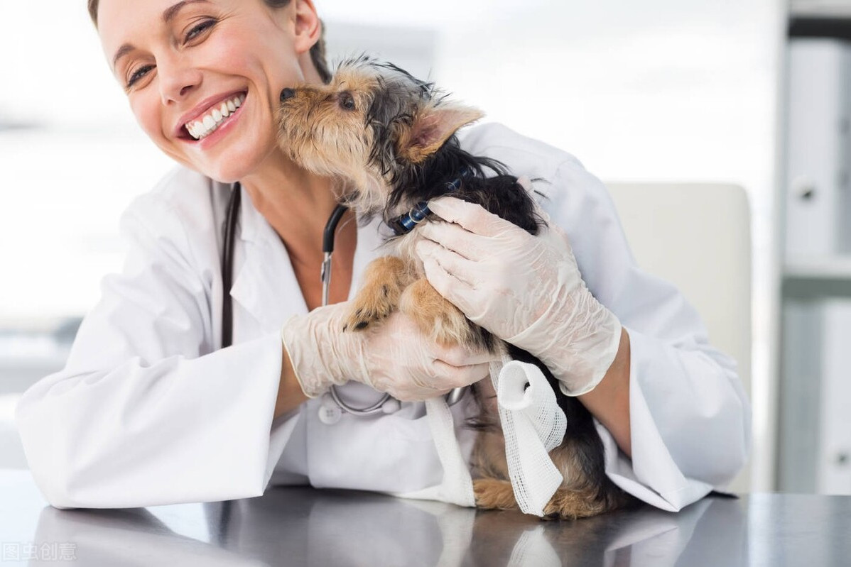 rc professionale veterinari: ecco come funziona e perché attivarla con il nostro sindacato